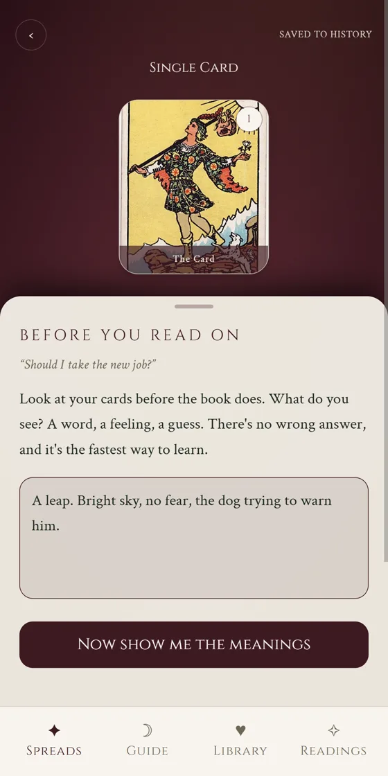 Deckside asking what you see in The Fool before it shows any meanings
